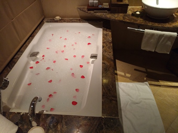 泰姬珍品岛 Taj Exotica Resort